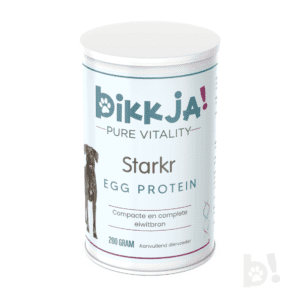 foto bus starkr bikkja