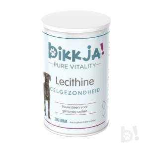 foto bus lecithine bikkja