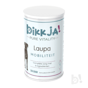 foto bus laupa bikkja