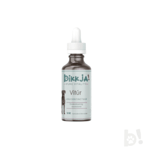 foto fles vitur bikkja